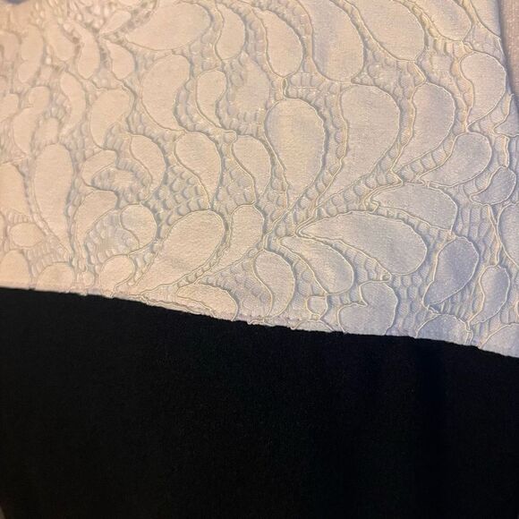 NWT Tommy Hilfiger black and white striped lace dress size 12 - Picture 4 of 5